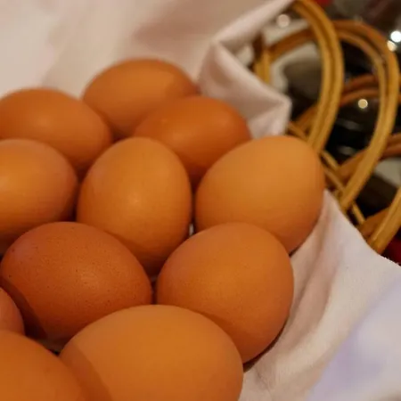 Hotel Hotel Weissenstein Sankt Michael im Lungau